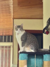 Foto de Molly en Villavicencio Meta #2