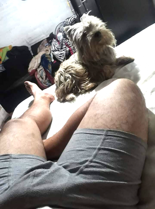Yow