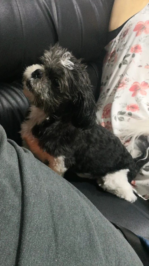 Peter
