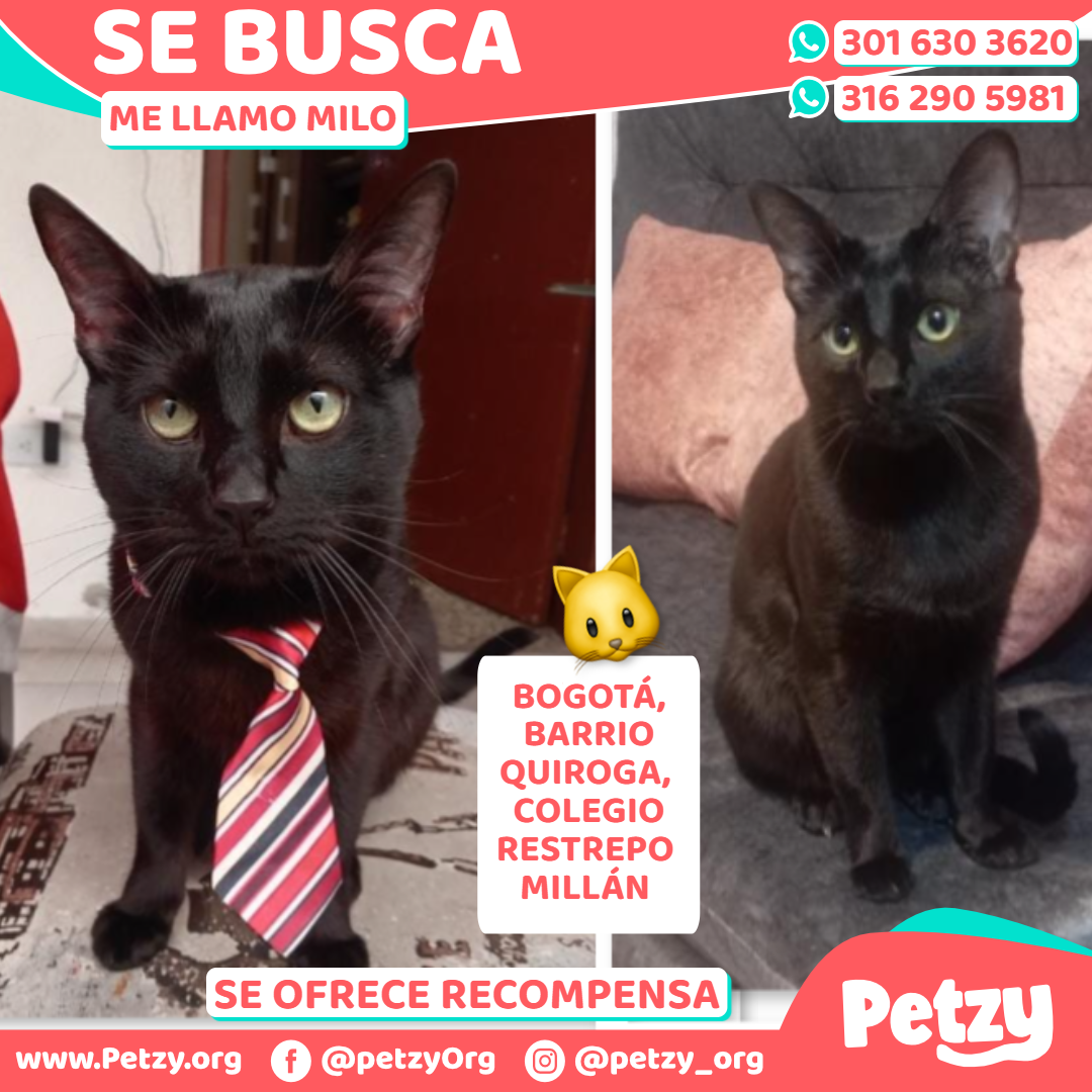 Milo