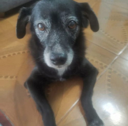 Tina
