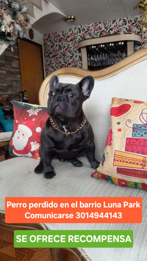 Maxi