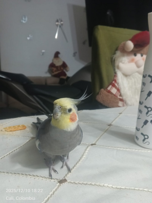 Juan
