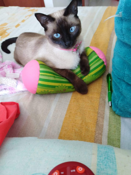 Lalita