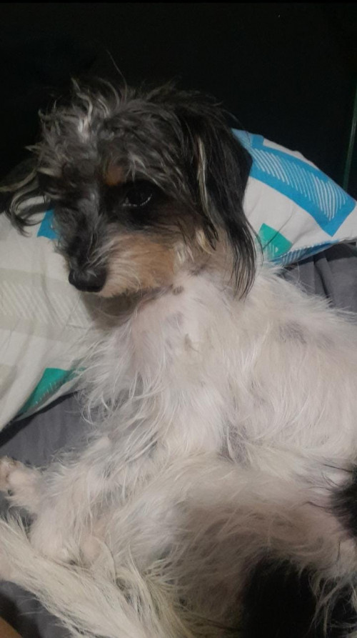 Morita