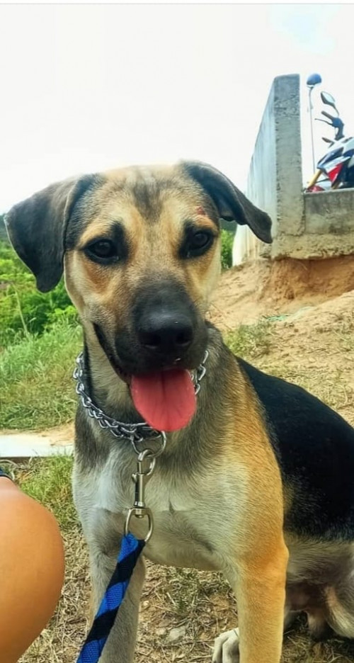 Odín