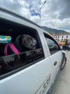 Foto de Sowy en Soacha Cundinamarca #10