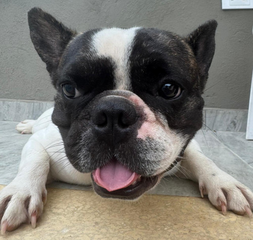 Max