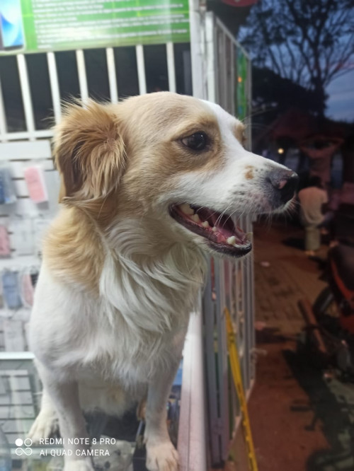 Luky