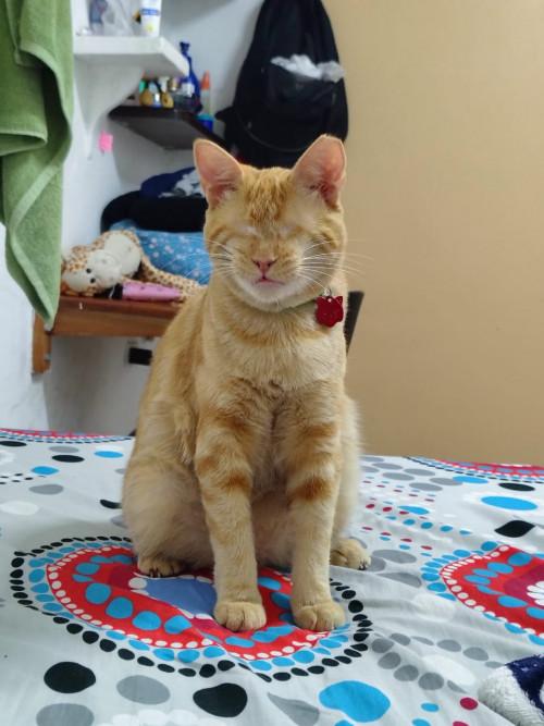 Ojitos