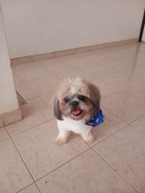 Loky
