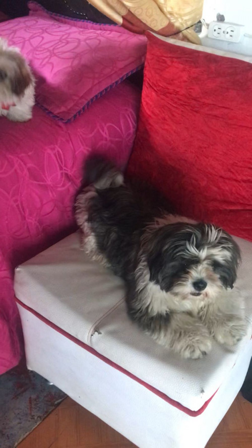 Romeo