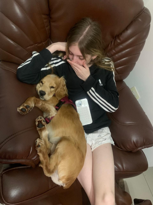 Se Busca A Este Perrito