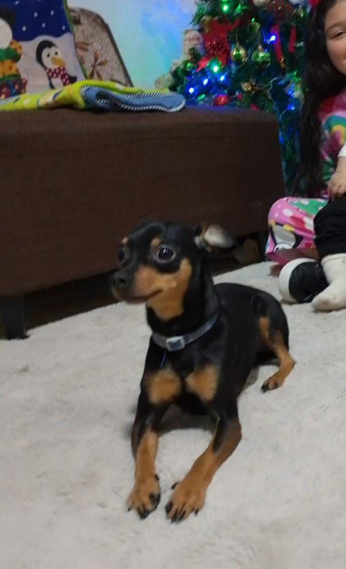 Milo