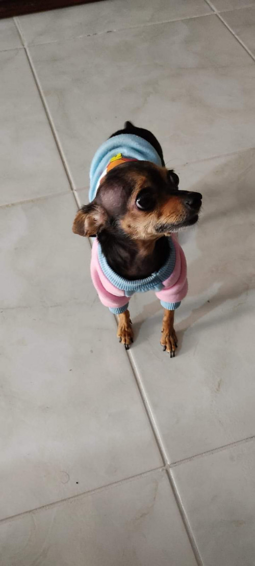 Princesa