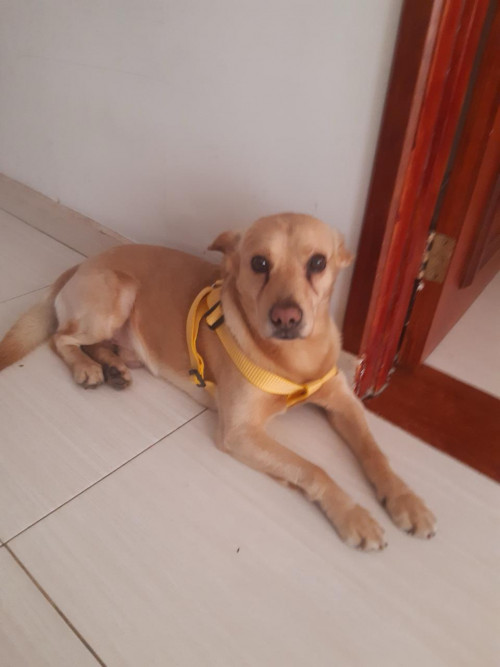 Mateo