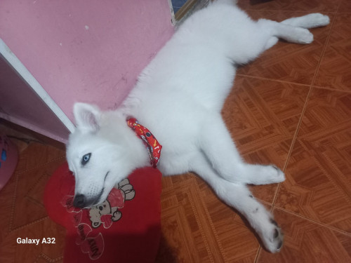 Max
