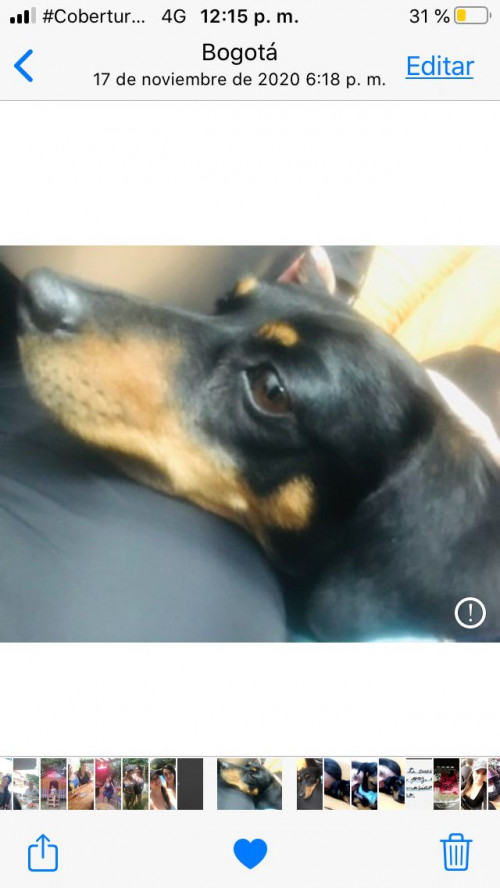 Maggy