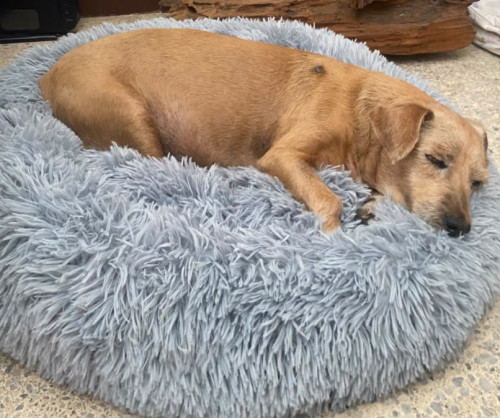 Martín