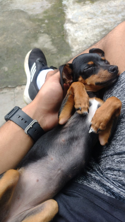 Lía