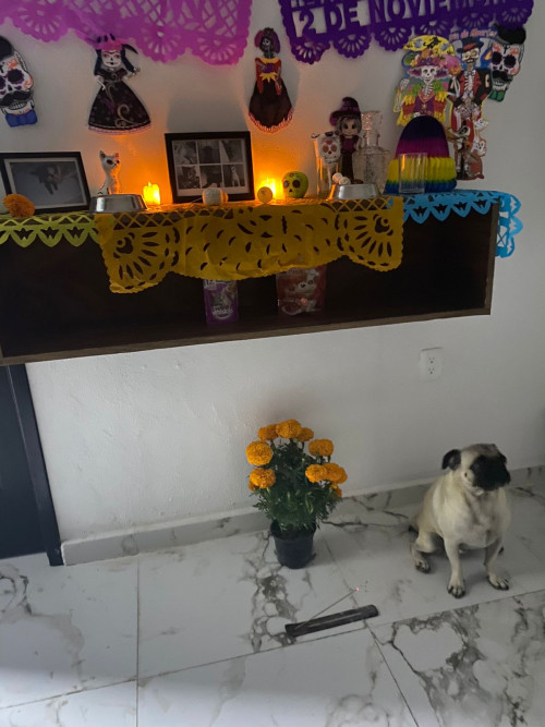 Moncho