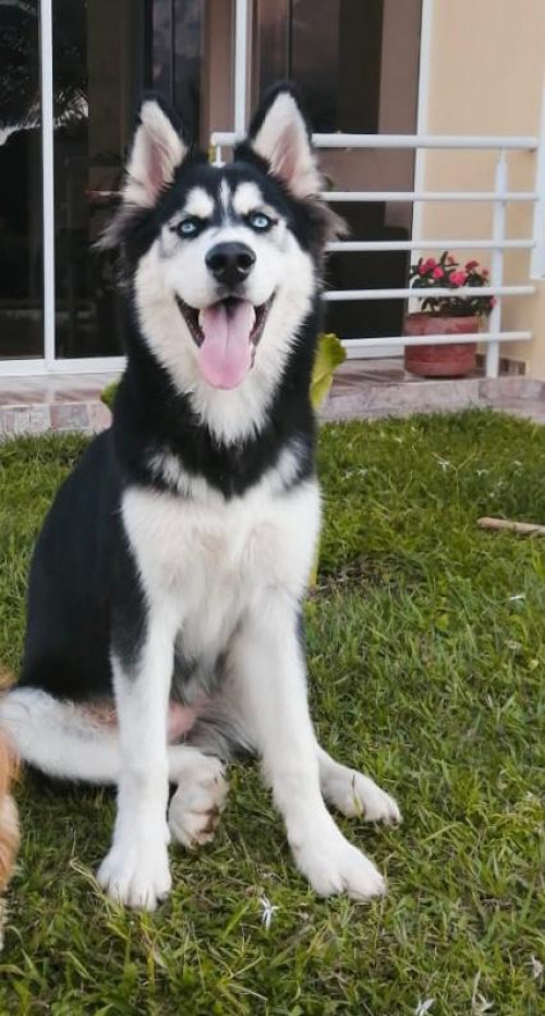 Titán