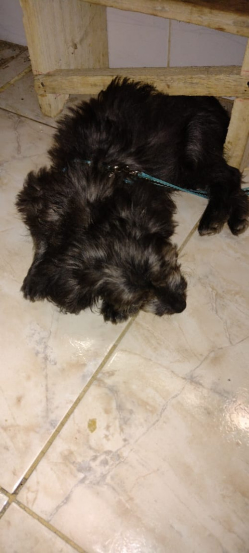 Lupita