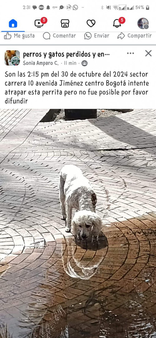 Princesa O Prin