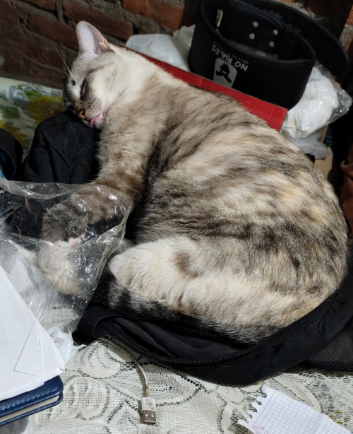 Kira