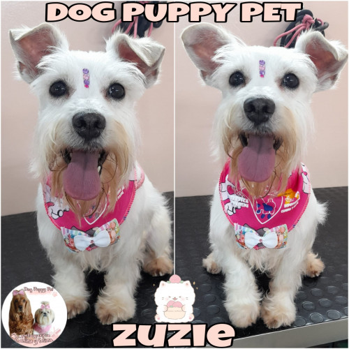 Zuzie