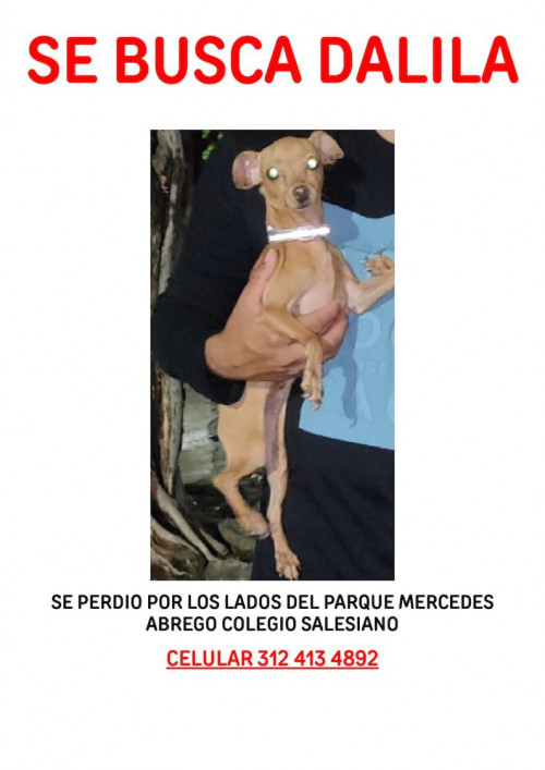 Dalila