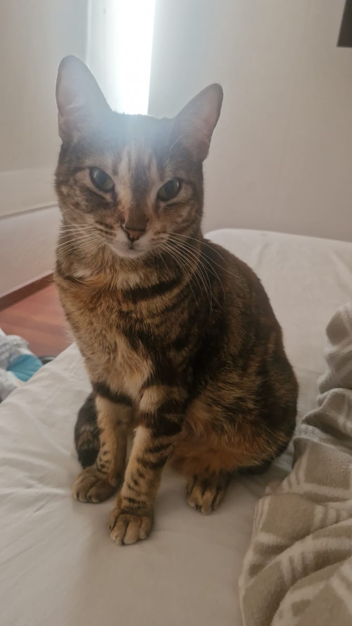 Kiara