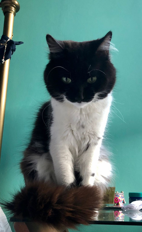 Dalí