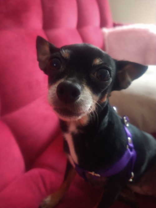 Betty