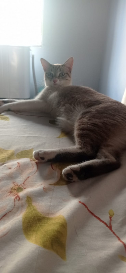 Molly