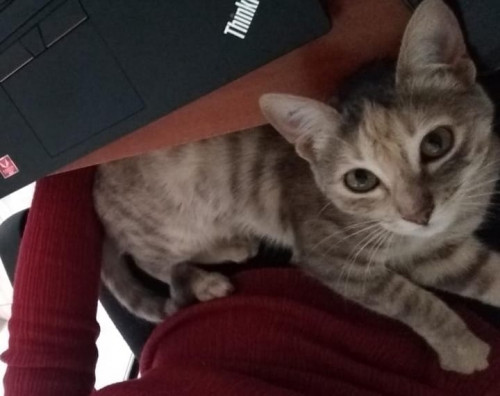 Luna