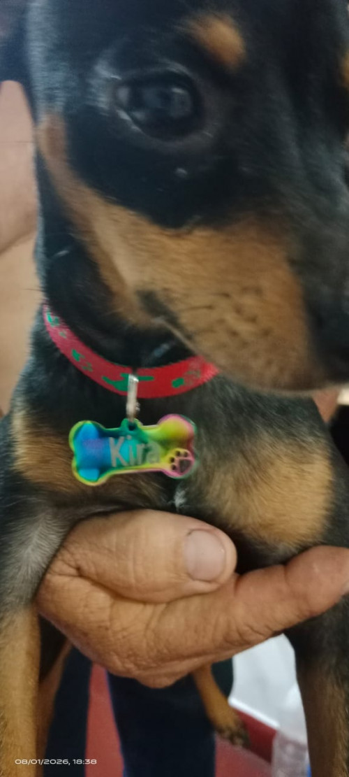 Kira