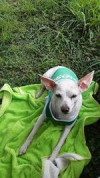 Foto de Tagu en Cali Valle del Cauca #2