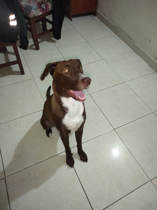 Kira