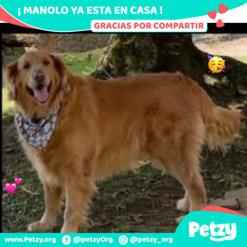 Foto de mascota Manolo