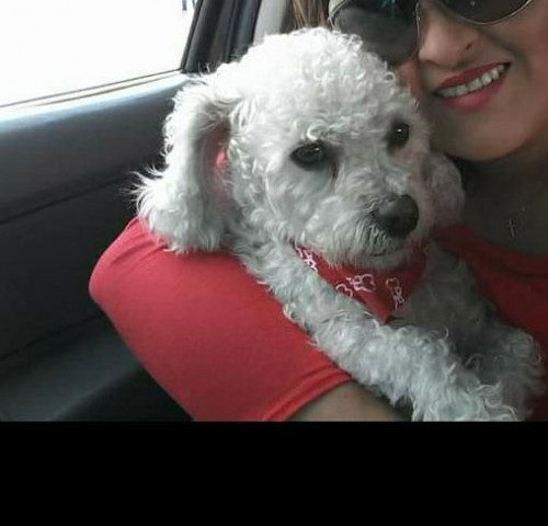 Tobby