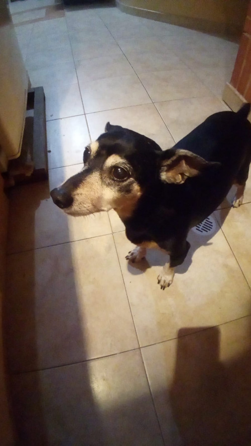 Paco
