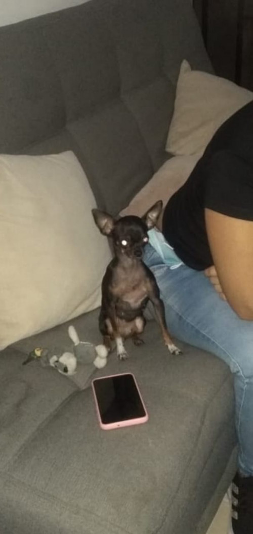 Lupita