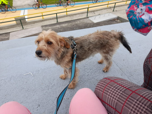 Teo