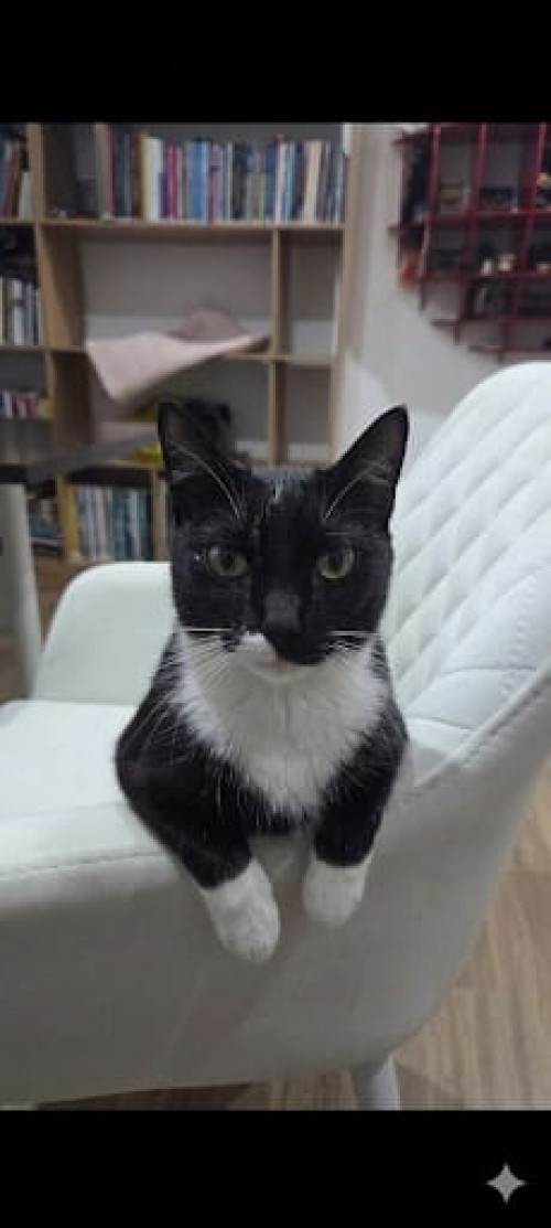 Luna