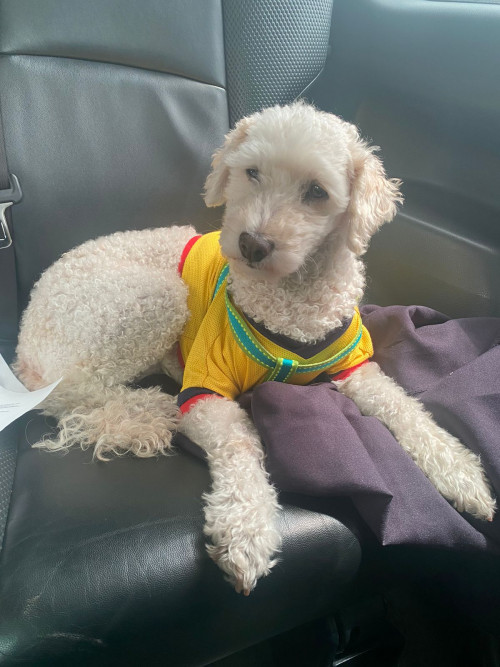 Capitán