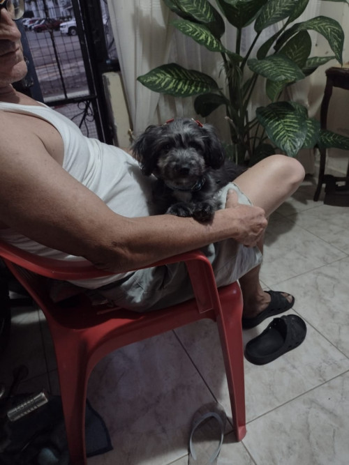 Lupita