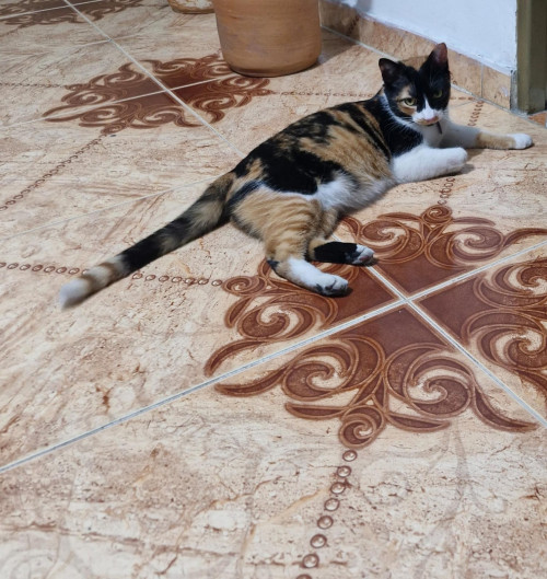 Luna