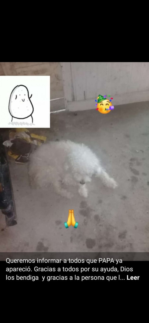 Papa