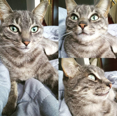 Nina